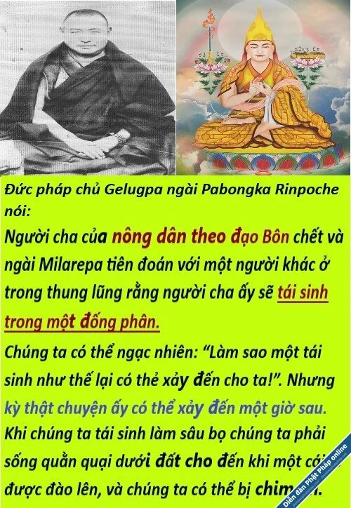 Dau thai dao bon.webp