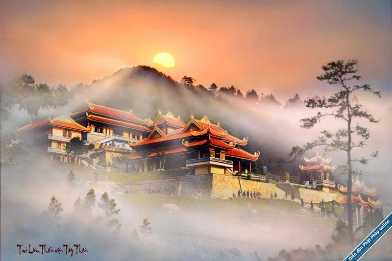 diemdanhnhungthienvienvietnamcokientructuyetdep1.webp