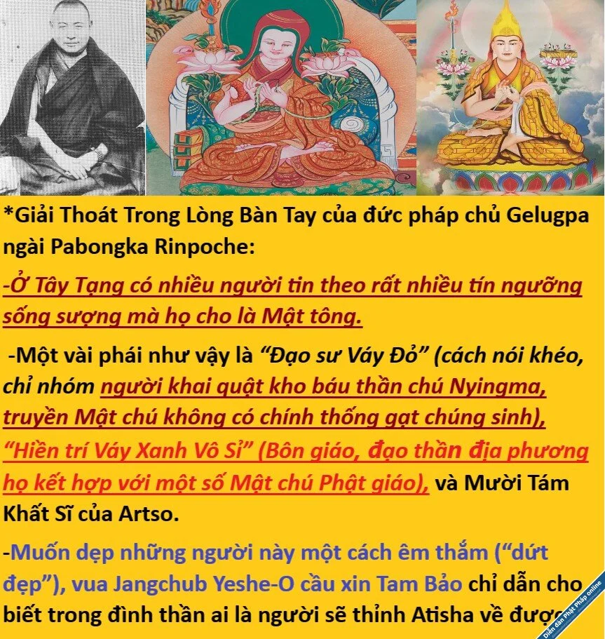 Gat nguoi.webp