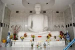 buddha.webp