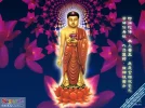 南无阿弥陀佛6.webp