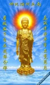 608830374626449365.jpg).webp