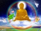 4d884746b1db36196a63e57c.webp
