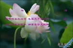 20090728_30558388868a347669c7IpTMB3oDSpRN.webp