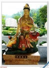 2009020816353666662.webp