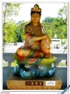 2009020815582990270.webp