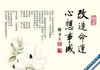 fayu14.webp