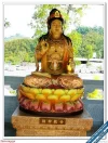 2009020815531331757.webp