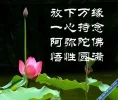 WuXinYuanMan.webp