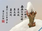 DT_FY1024x768.webp