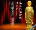 AMTF28.webp