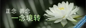 XinNian.webp