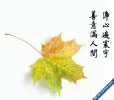 14.webp
