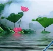Lotus1.webp