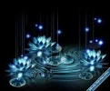 Lotus128.webp