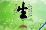 Sheng.webp