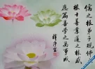 20.webp