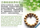 e-c90.webp