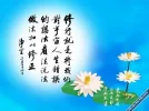 016.webp
