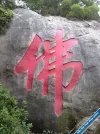 FoStone.webp