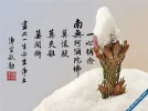 DT_FY1024x768.webp