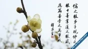 PSP_ZaiGenJiaoYu.webp