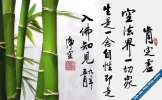 Xu.webp