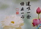 27.webp