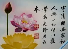 26.webp