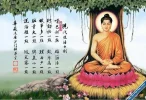 SXF_SenHuo.webp