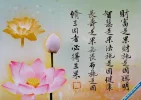 25.webp