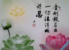 24.webp