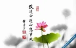 MinYun.webp