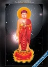 f-amitabha-6.webp