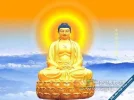 lrg-3697-phat_thich_ca73.webp
