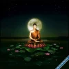 night_7416.webp