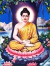 Phat Thich Ca 4.webp