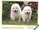 Samoyed Calendar 2009 small for website.webp