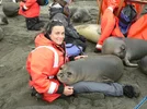 rikki loves seals.webp