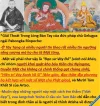 Gat nguoi.webp