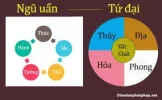 4 đại.webp