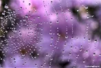 1753494633051.webp