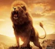 1753771165070.webp